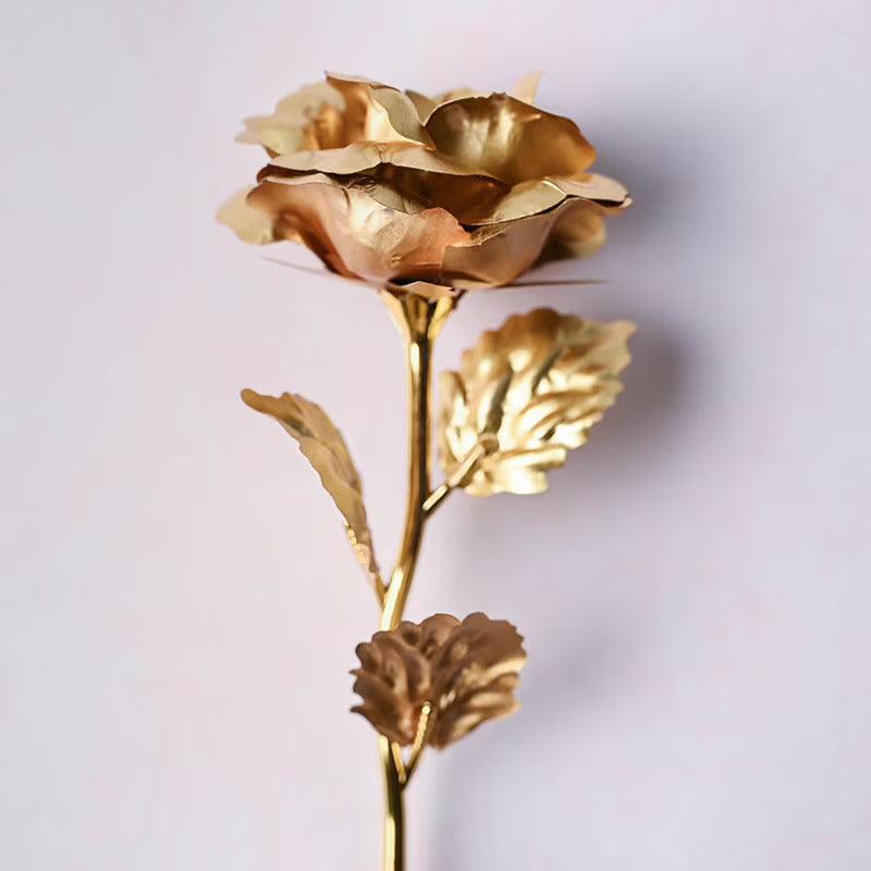 Gold/Red Rose with Beautiful Gift Box - Gift Lift
